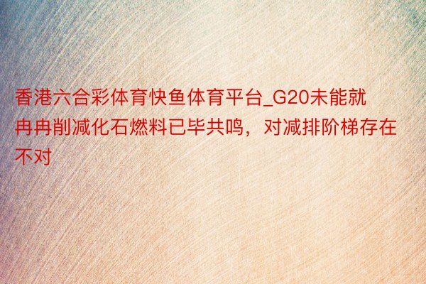 香港六合彩体育快鱼体育平台_G20未能就冉冉削减化石燃料已毕共鸣，对减排阶梯存在不对