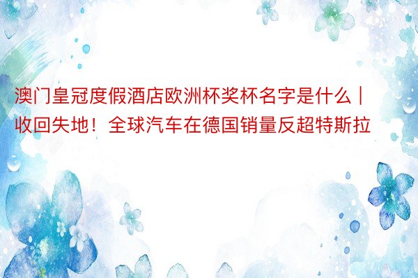 澳门皇冠度假酒店欧洲杯奖杯名字是什么 | 收回失地！全球汽车在德国销量反超特斯拉